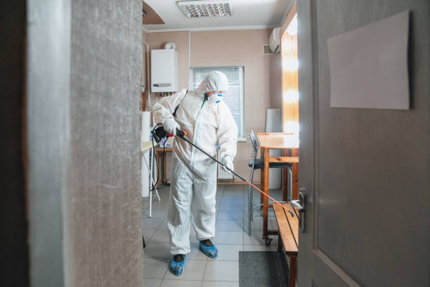 Best Indoor Air Quality Assessment  in Monticello, KY