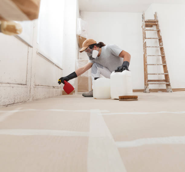 Asbestos and Lead Testing During Mold Inspection in Monticello, KY